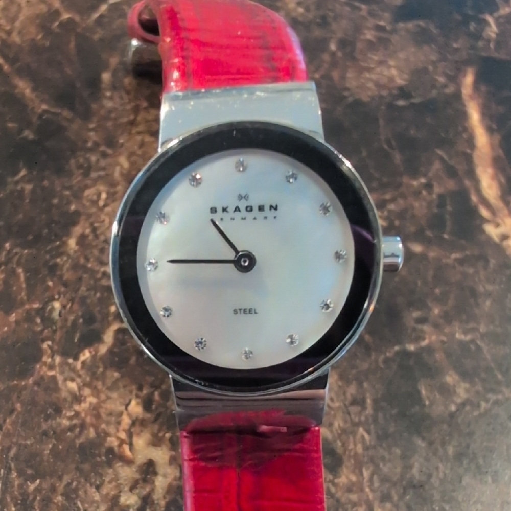 Skagen Women's Steel Watch with Red Strap